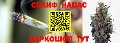 стафф Нягань