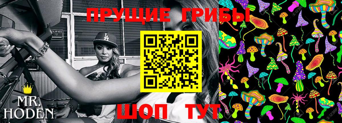 Курган  Галлюциногенные грибы Cubensis  Вход с VPN 