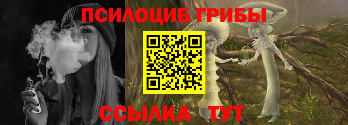 Галлюциногенные грибы мицелий Курган