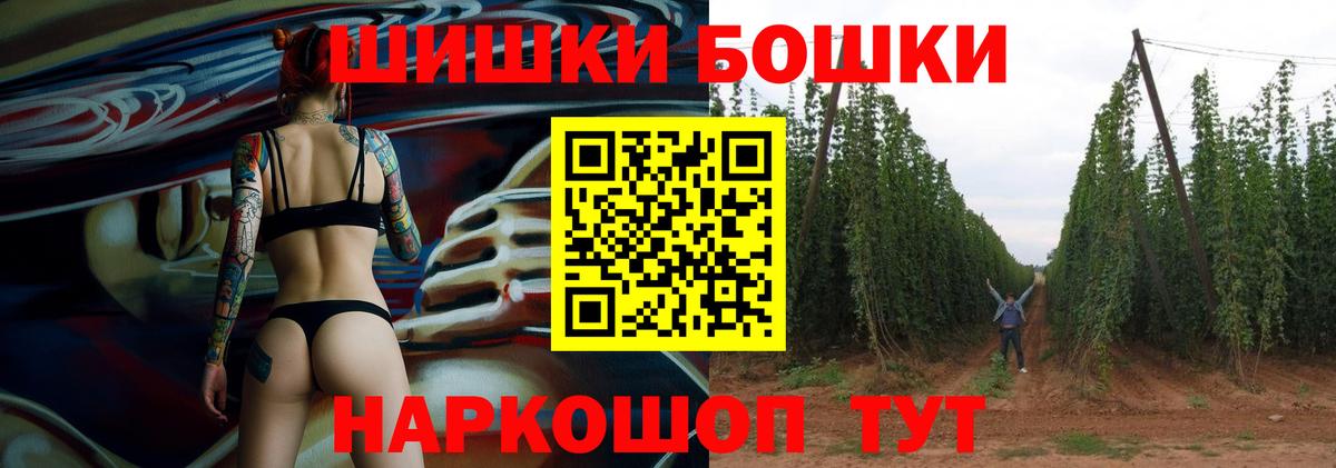 Каннабис план  Вход с VPN  Курган  Шишки марихуана сатива 